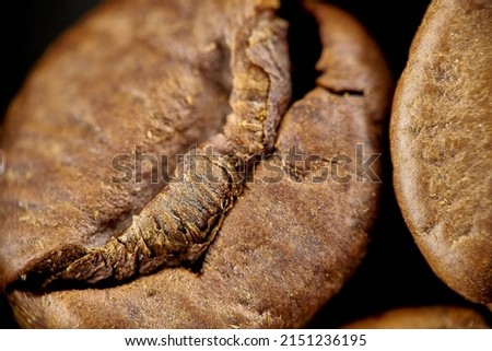 coffee bean macro grain closeup microscope medium rare wood seeds cracked texture brown