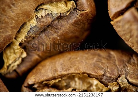 coffee bean macro grain closeup microscope medium rare wood seeds cracked texture brown