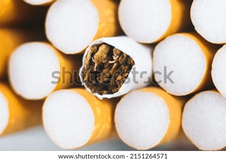 Close up tobacco cigarette background or texture. Cigarettes. Tobacco product