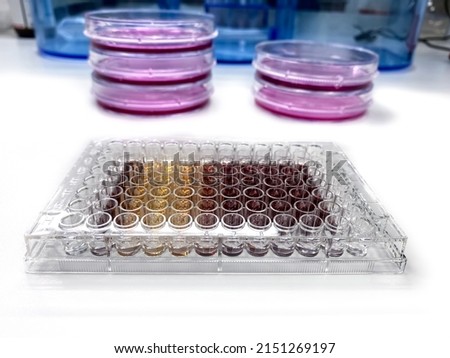 Laboratory setup for biocompatibility assessment of new substances by the means of MTT assay and cytotoxicity analysis. Royalty-Free Stock Photo #2151269197