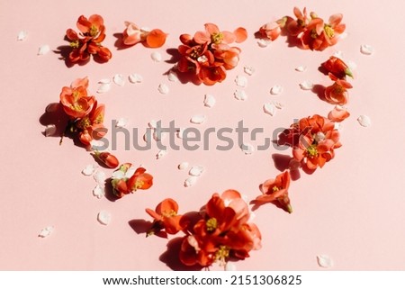 Stylish floral heart on pink background flat lay. Happy Mothers and Women's day. Valentine. Red quince flowers composition in heart shape layout. Floral greeting card template