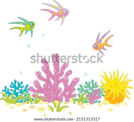 Merry colorful fishes and tropical corals on a reef in a southern sea, vector cartoon illustrations isolated on a white background