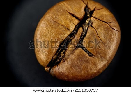 coffee bean macro grain closeup microscope medium rare wood seeds cracked texture brown soft focus