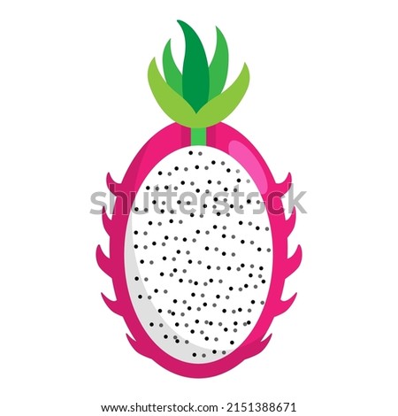 dragon fruit, tropical fruits. Vector illustration isolated on white background