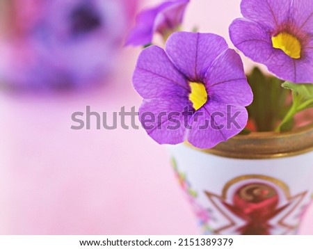 Antique cup of tea with purple violet flowers ,calibrachoe petunia ,soft selective focus pastel pretty background or wallpaper ,Chinese traditional ,wedding card design ,coffee cup ,lovely love card 