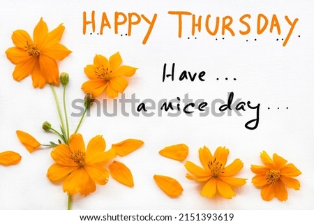 happy thursday have a nice day message card handwriting with orange flowers cosmos arrangement flat lay postcard style on background white  Royalty-Free Stock Photo #2151393619