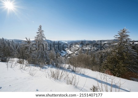 winter landscape at feldberg (1493m) in southern germany.