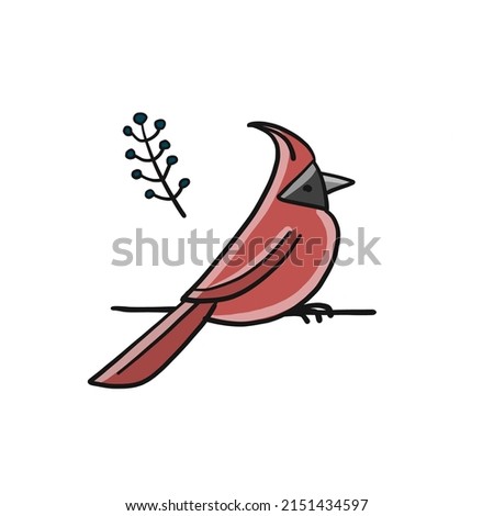 Northern cardinal bird isolated on white. Sketch for your design