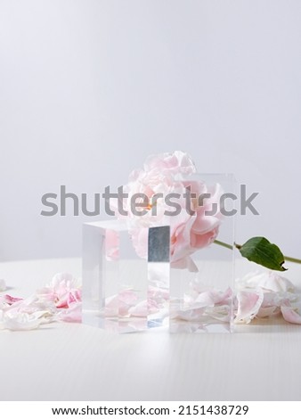 A vertical shot of beautiful pink peony flowers in a glass vase on a white background