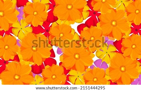 Colorful tropical yellow ,red cosmos   flower hand drawn watercolor digital painting fresh spring nature wallpaper background