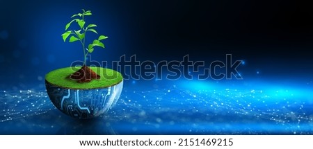Tree growing on digital plant pot. Eco Technology and Technology Convergence. Green Computing, Green Technology, Green IT, csr, and IT ethics Concept. Royalty-Free Stock Photo #2151469215