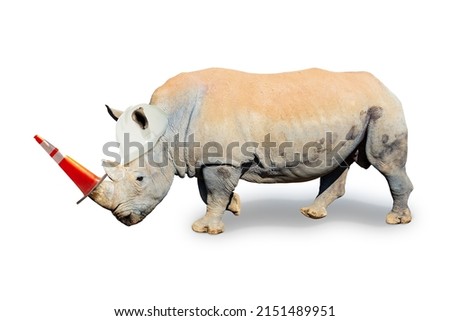 Concept of construction worker rhino with road orange cone on horn and helmet on rhinoceros
