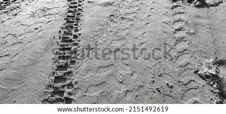 Footprints and vehicles on the soft sand beach