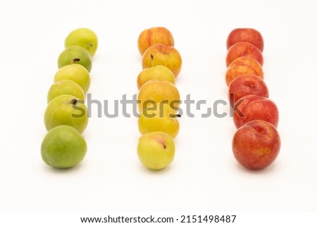 High definition pictures of plums from green to mature