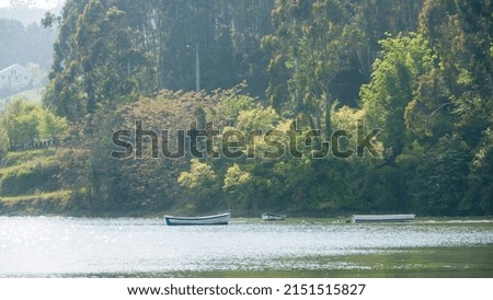 Boats in a forest lake