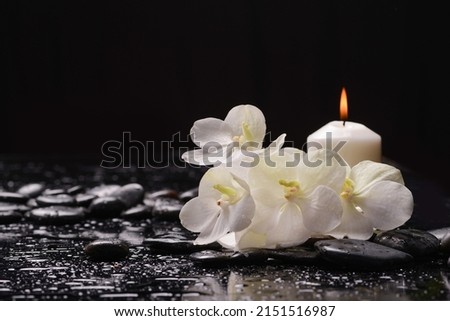 still life of with white orchid on zen black stones and candle on wet background Royalty-Free Stock Photo #2151516987
