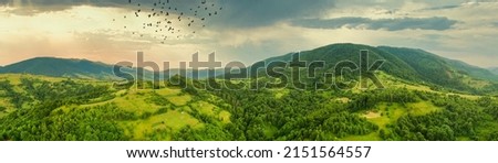 Aerial view of the endless lush pastures of the Carpathian expanses and agricultural land. Cultivated agricultural field. Rural mountain landscape at sunset. Ukraine. Royalty-Free Stock Photo #2151564557