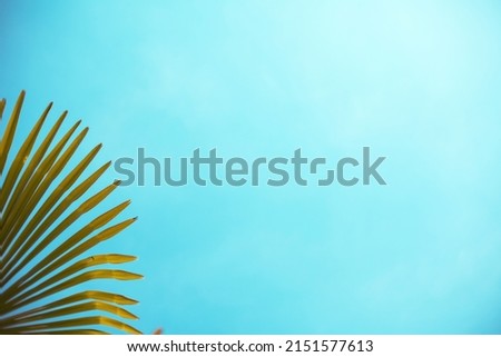 background composed of a blue teal sky and a palm leaf in the lower left corner. useful for flyers or placemats for the menu Royalty-Free Stock Photo #2151577613