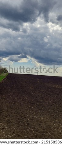 a clean, endless field against the backdrop of gorgeous clouds