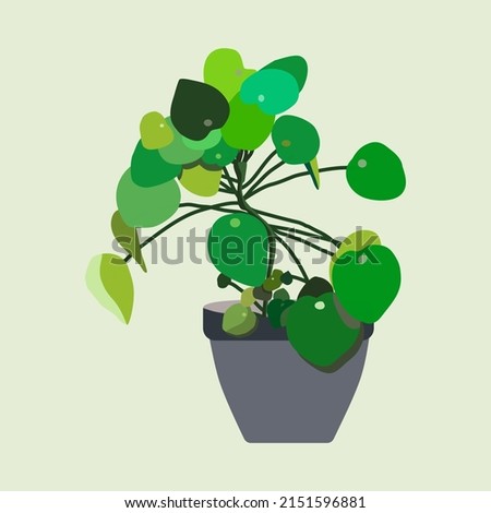 A small tree of many shades of green color leaves are contained in a drake gray pot. Isolate objects vector image.