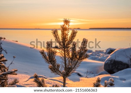 Panoramic sunset through the horizon. Winter wonderland scenery in scenic golden evening light at sunset with clouds and long shadow. tranquil nature copy space background.