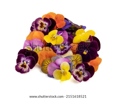 Edible flowers of all colours for the presentation of dishes on a white background Royalty-Free Stock Photo #2151618521