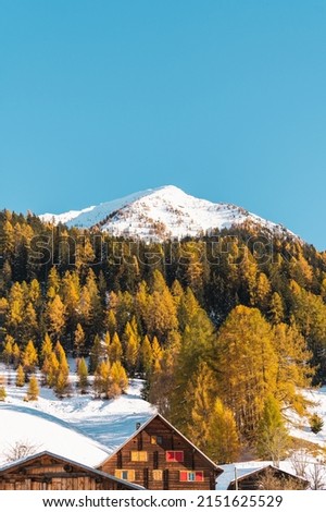 A vertical view of Tersnaus in snow, a village in Val Lumnezia, Switzerland