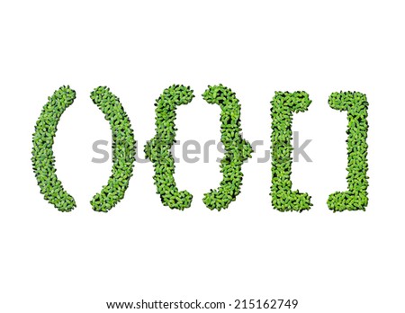 Collection of alphabet letter symbols from duckweed isolated on white background Royalty-Free Stock Photo #215162749