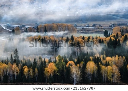 An aerial view of the river flowing in the autumnal dense forest covered with fog in the early morning