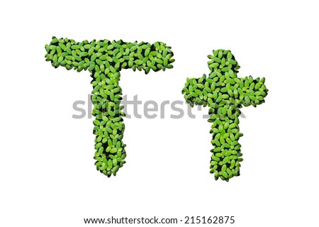 Duckweed alphabet letters "T" isolated on white background
