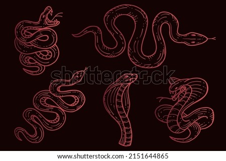 Set of Snakes Viper Venom Black Tattoo Collections illustration