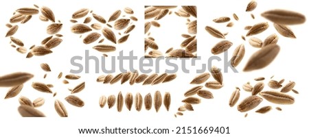 A set of photos. Rye grains levitate on a white background Royalty-Free Stock Photo #2151669401