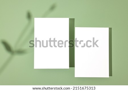 Template paper with plant shadow on pastel green background , great design for any purposes. Abstract background. Banner template. Advertising 