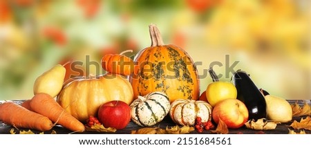 Heap of gathered harvest on table in autumn garden