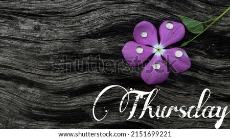 Thursday is isolated on a dark wooden background. A purple color flower is nearby. Book cover, note, copy space, wallpaper art concept. Week, and weekend days.  Day planner.