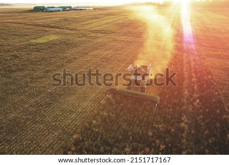 Harvester on wheat harvesting. Wheat and corn markets react in crisis world’s breadbasket. Wheat import, maize (corn), soybeans. Global crop prices in food crisis. Global food inflation and hunger. Royalty-Free Stock Photo #2151717167