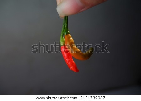 Superhot chili pepper is one of hottest pepper in the world. It's skin is notably dark chocolate brown and somewhat pimpled. It starts off green but matures to a rich brown