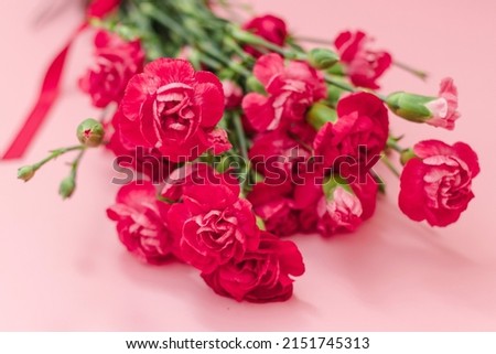 Red mini carnation and gift box. Concept of giving present at mother's day as surprise, flat lay, top view On pink Background.