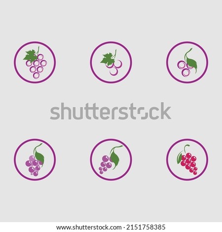 fresh grapes with green leaves set  logo vector illustration design