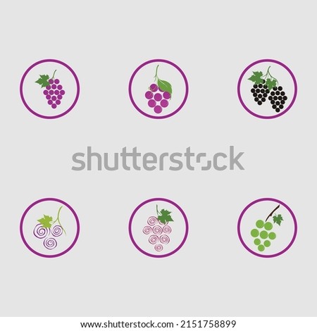fresh grapes with green leaves set  logo vector illustration design