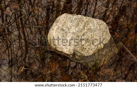 A large stone lies in a puddle. Reflection of trees in the water in early spring