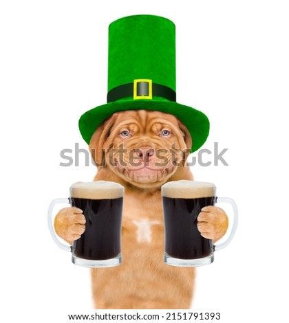 St Patrick's Day concept. Funny mastiff puppy wearing hat of the leprechaun with a glass of dark beer. isolated on white background