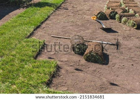 Installing new grass turfs from a roll - Garden building theme