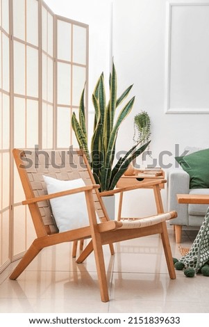Wooden armchair with pillow in interior of light living room