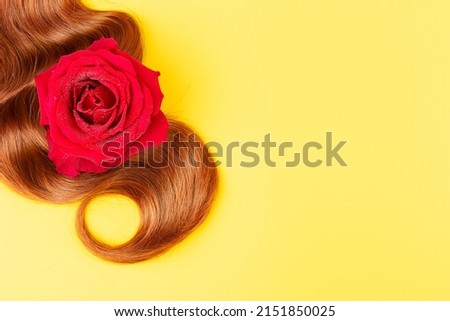 Red hair styled on a yellow background with a red rose bud. Shiny healthy colored lock of hair close-up