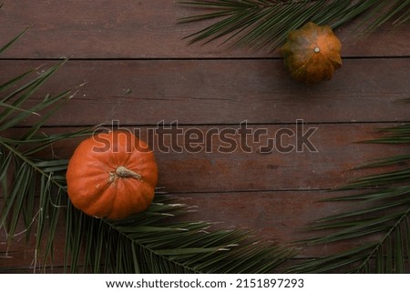 Pumpkins, palm branches on a wooden background