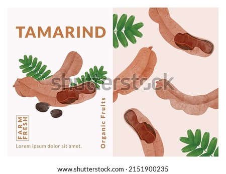 Tamarind packaging design templates, watercolour style vector illustration. Royalty-Free Stock Photo #2151900235