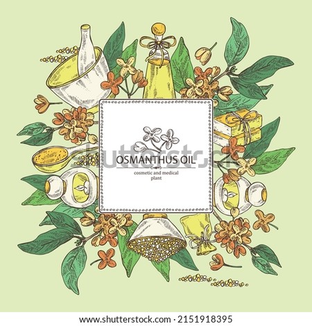 Background with osmanthus: osmanthus plant, leaves, osmanthus flowers, bath salt, soap and beauty products. Cosmetic, perfumery and medical plant. Vector hand drawn illust