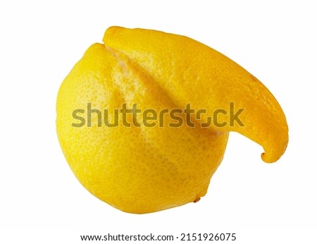 Ugly food, funny vegetable shape concept. Funny shape lemon on a white background. Clipping path Royalty-Free Stock Photo #2151926075