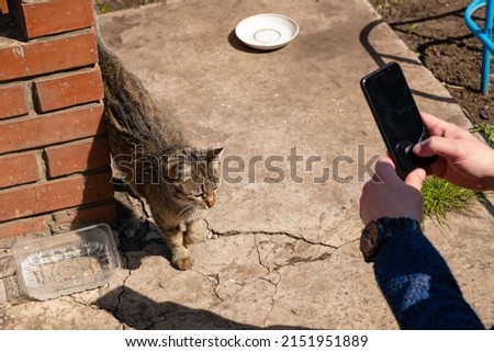 Rich man takes pictures of dirty homeless cat on his smart phone.